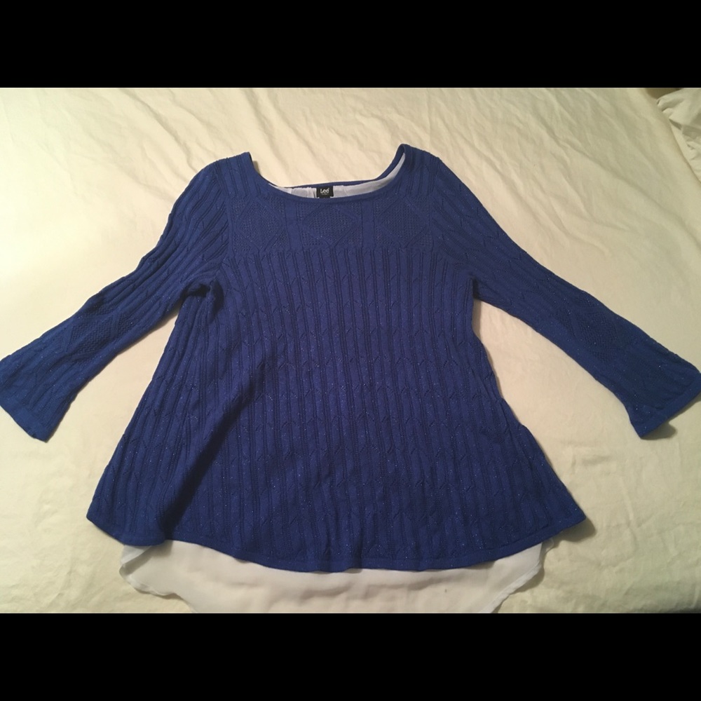 Lee Sparkly Sweater with Chiffon back panel